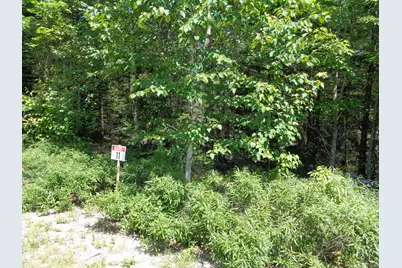 Lot 11 Bailey Mountain Road, Franklin, ME 04634 - Photo 2