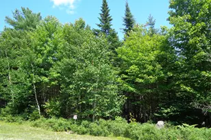 Lot 11 Bailey Mountain Rd, Franklin, ME 04634 - Photo 1