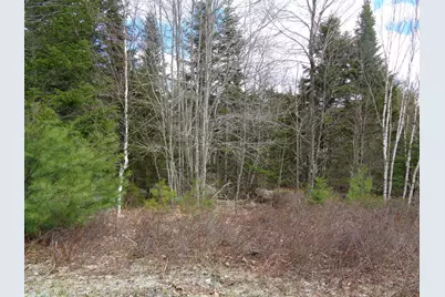 Lot 11 Bailey Mountain Road, Franklin, ME 04634 - Photo 12