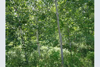 Lot 16 Bailey Mountain Road, Franklin, ME 04634 - Photo 4