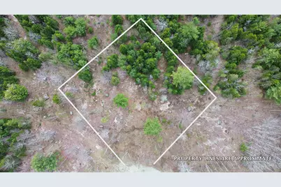 Lot 16 Bailey Mountain Road, Franklin, ME 04634 - Photo 6