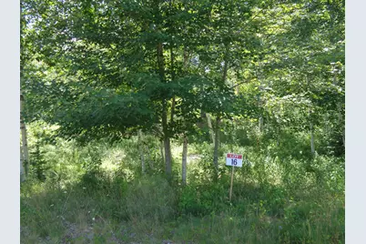Lot 16 Bailey Mountain Drive, Franklin, ME 04634 - Photo 2