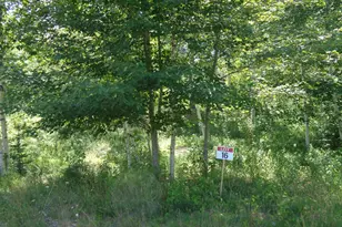 Lot 16 Bailey Mountain Rd, Franklin, ME 04634 - Photo 1