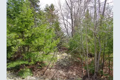 Lot 16 Bailey Mountain Road, Franklin, ME 04634 - Photo 12