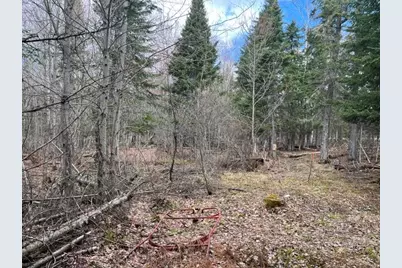 Lot 12 Doe Path, Rangeley, ME 04970 - Photo 6