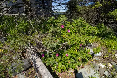 0 Wohoa Bay Island, Addison, ME 04606 - Photo 42