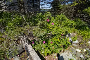 0 Wohoa Bay Island, Addison, ME 04606 - Photo 42