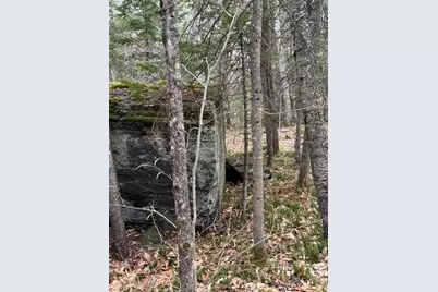 141 Tufts Pond Road, Springfield, ME 04947 - Photo 32
