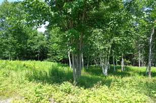 Lot 17 Bailey Mountain Dr, Franklin, ME 04634 - Photo 1
