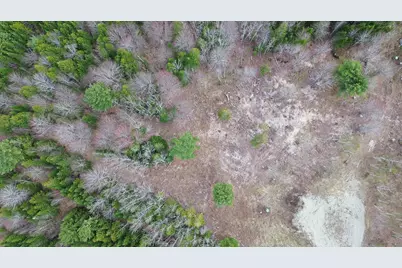 Lot 17 Bailey Mountain Road, Franklin, ME 04634 - Photo 6