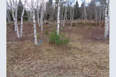Lot 17 Bailey Mountain Road, Franklin, ME 04634 - Photo 14