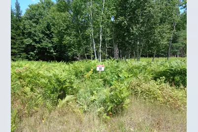 Lot 18 Bailey Mountain Road, Franklin, ME 04634 - Photo 4