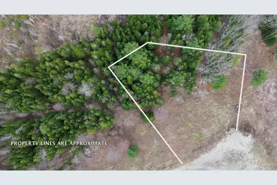 Lot 18 Bailey Mountain Road, Franklin, ME 04634 - Photo 6