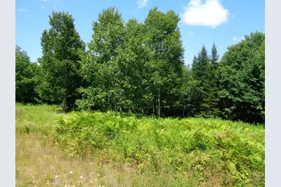 Lot 18 Bailey Mountain Road, Franklin, ME 04634 - Photo 2