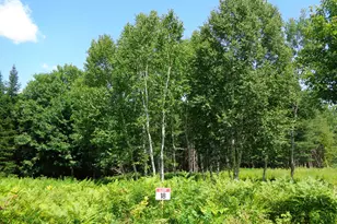 Lot 18 Bailey Mountain Rd, Franklin, ME 04634 - Photo 1