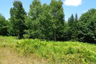 Lot 18 Bailey Mountain Rd, Franklin, ME 04634 - Photo 1