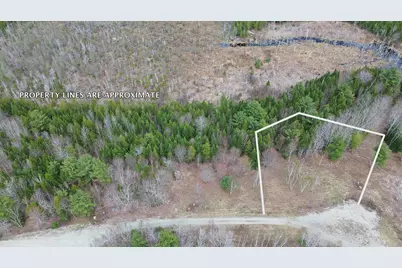 Lot 18 Bailey Mountain Road, Franklin, ME 04634 - Photo 8