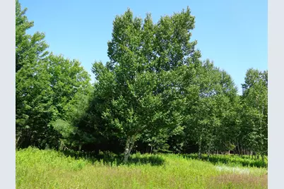 Lot 19 Bailey Mountain Road, Franklin, ME 04634 - Photo 2