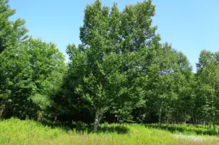 Lot 19 Bailey Mountain Dr, Franklin, ME 04634 - Photo 1
