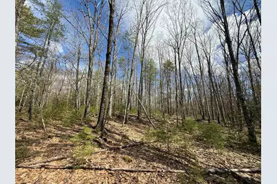 Lot # 8E01 Lord Road, Buxton, ME 04093 - Photo 2
