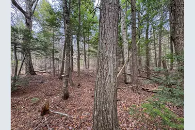 Lot 25 Woodland Ridge Road, Danforth, ME 04424 - Photo 14