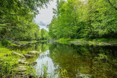 Lot 88-1 Appleton Ridge Road, Searsmont, ME 04973 - Photo 2