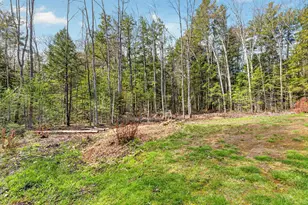 159 Henry Hill Rd, Buxton, ME 04093 - Photo 60