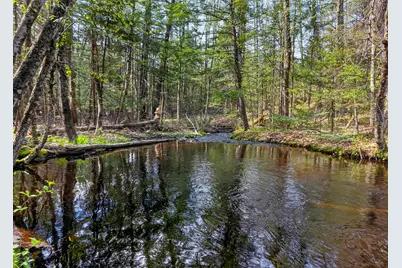 159 Henry Hill Road, Buxton, ME 04093 - Photo 62