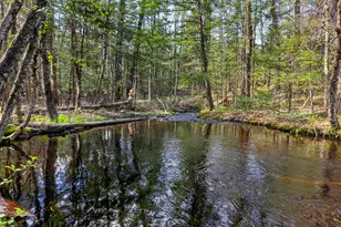159 Henry Hill Rd, Buxton, ME 04093 - Photo 62