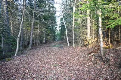 537 Dallas Hill Road, Dallas Plt, ME 04970 - Photo 24
