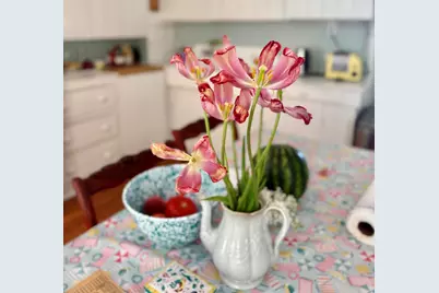 7 Mountain Street, Vinalhaven, ME 04863 - Photo 36