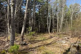 1492 River Rd, Bucksport, ME 04416 - Photo 36