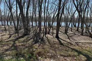 170 Pine Rd, Greenbush, ME 04418 - Photo 8