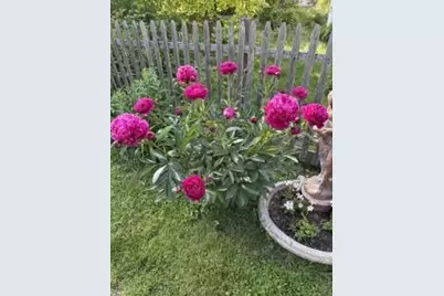 161 Charles Street, Belfast, ME 04915 - Photo 8