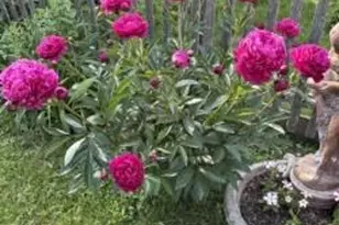 161 Charles St, Belfast, ME 04915 - Photo 8