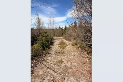 76 Morancy Road, Sullivan, ME 04664 - Photo 2