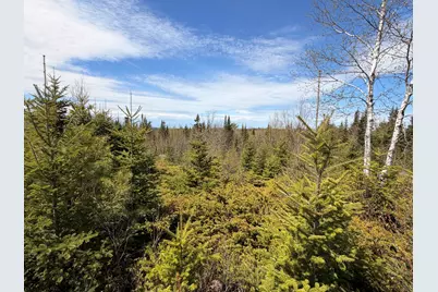 76 Morancy Road, Sullivan, ME 04664 - Photo 6
