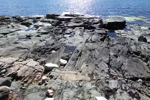 29 Loons Call, Winter Harbor, ME 04693 - Photo 54