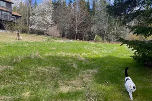 29 Loons Call, Winter Harbor, ME 04693 - Photo 56