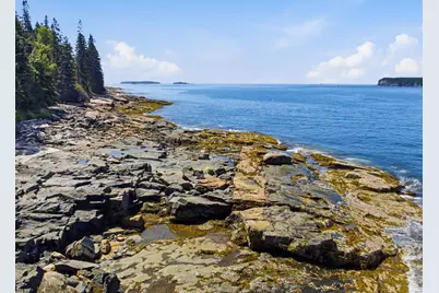 29 Loons Call, Winter Harbor, ME 04693 - Photo 4