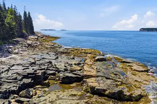 29 Loons Call, Winter Harbor, ME 04693 - Photo 4