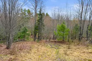 64 Coburn Rd, Carthage, ME 04224 - Photo 30