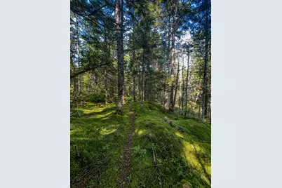 2-C Gouldsboro Point Road, Gouldsboro, ME 04607 - Photo 4