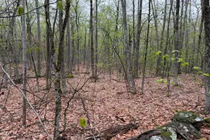 M 209 L 9 Abbott Rd, Acton, ME 04001 - Photo 1