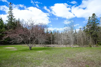 10 Spruce Reach, Gouldsboro, ME 04607 - Photo 80