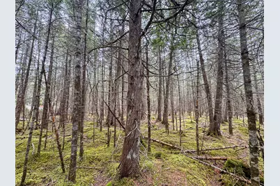 58 High Head Road, East Machias, ME 04630 - Photo 10