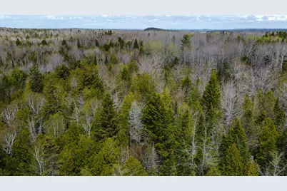 58 High Head Road, East Machias, ME 04630 - Photo 12