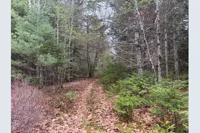 M11L17&17C Rogers Point Road, Steuben, ME 04680 - Photo 4