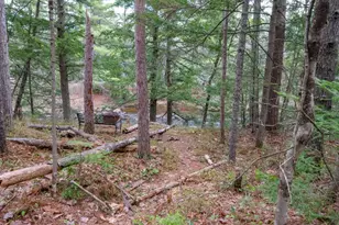 16 Plains Rd, Harrison, ME 04040 - Photo 12