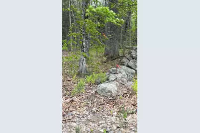 Lot #042 Tower Road, Vienna, ME 04360 - Photo 6